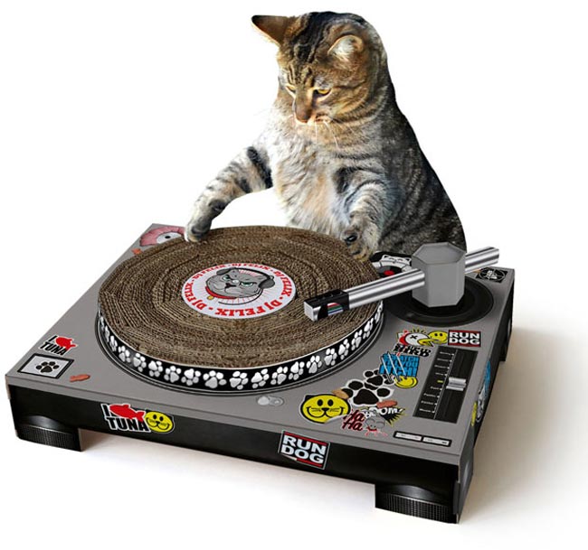 DJ Cat Scratching Deck.