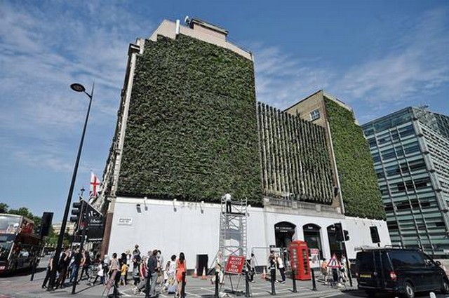 دیوار سبز لندن
