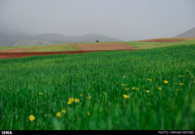 طبیعت پالنگان - کردستان (عکس)
