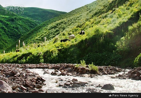 طبیعت سبز بهاری در تاجیکستان (عکس)