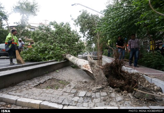 توفان سیاه در تهران 4 نفر را کشت و 30 مجروح بر جای گذاشت