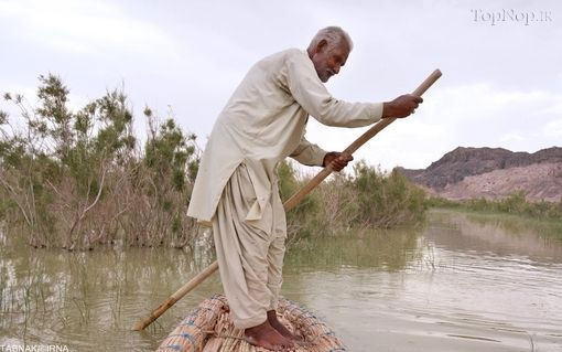 مسافرکشی با «توتن» در بلوچستان (عکس)