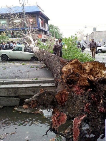 گزارش تصویری 2 کاربران از طوفان تهران