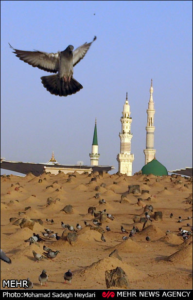 مسجد النبی درآستانه مبعث پیامبر (عکس)