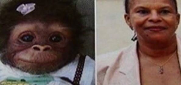 9 ماه زندان و جریمه چون به وزیر رنگین پوست گفت میمون