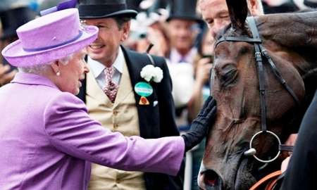 اسب دوپینگی ملکه انگلیس! (+عکس)