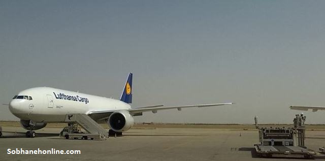 عجیب‌ترین حمل و نقل هوایی جهان/ سفر 65 اسب با پرواز «فرست کلاس» به تهران! (+عکس)