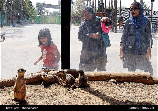 پستاندار نادر میرکِت در تهران (عکس)