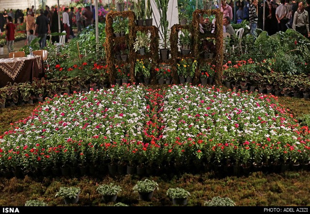 نمایشگاه گل و گیاه در محلات (عکس)