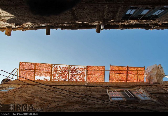پایتخت آلوی ایران (عکس)