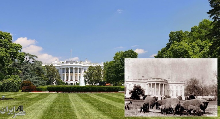 عکس تاریخی از کاخ سفید