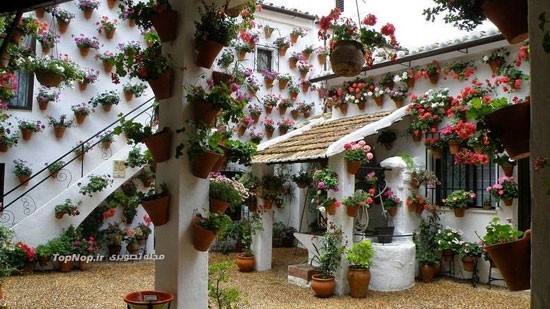 جشنواره ای پر از گل در اسپانیا (عکس)