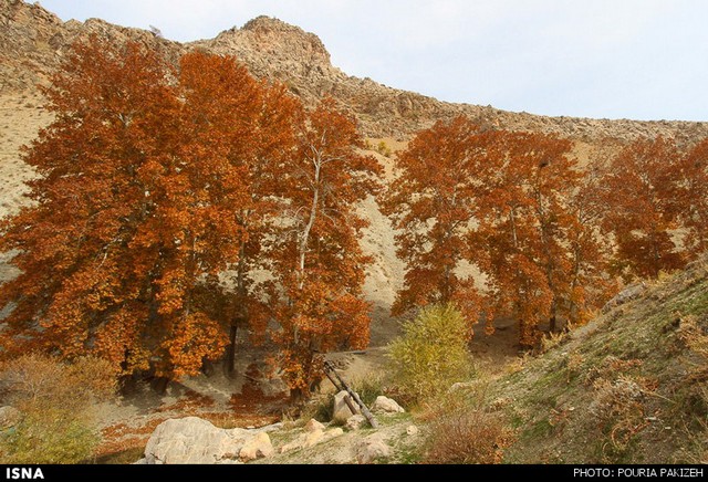 طببیعت پاییزی همدان (عکس)