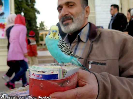 گزارش سفر یک خبرنگار آمریکایی به مقبره حافظ(+عکس)