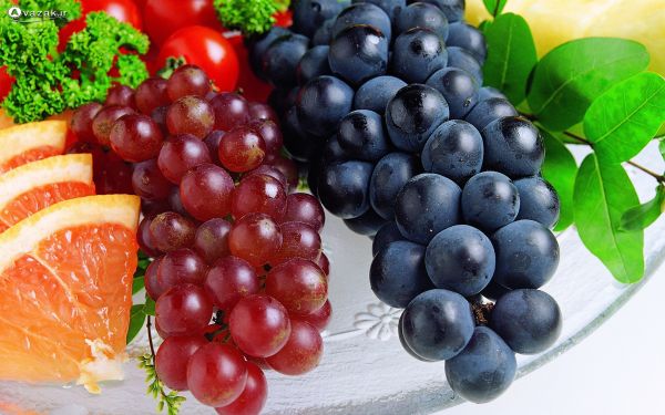میوه‌ها مفیدترین منابع تغذیه