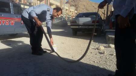 مهار مار افعی 170 سانتی در مسکن مهر لار