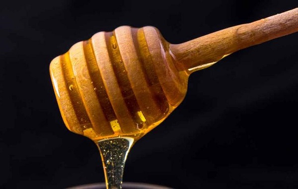 مضرات جوانه یونجه مجله سلامت متخصص تغذیه عسل خام