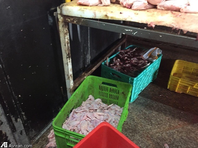 کلکسونی از تخلفات بهداشتی در برخی از واحد های عرضه قصابی و فروش گوشت مرغ  (+عکس)