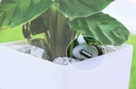 شارژ تلفن همراه با گیاهان
