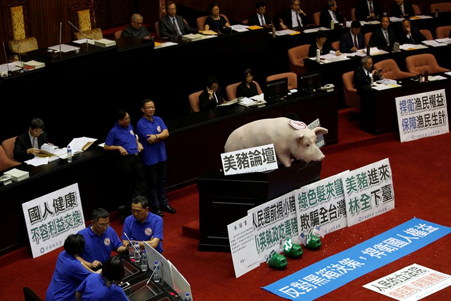 خوک در تریبون پارلمان تایوان (عکس)