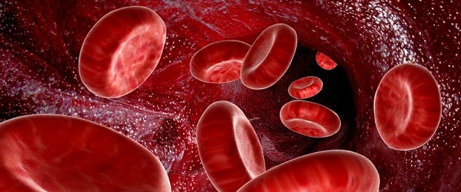 Image result for  لخته خون