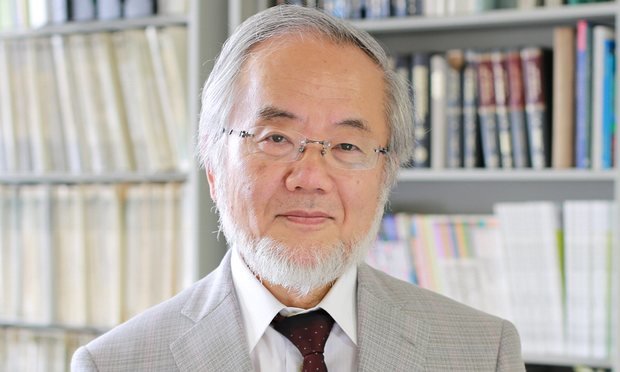 نوبل پزشکی 2016 نصیب ژاپنی‌ها شد!