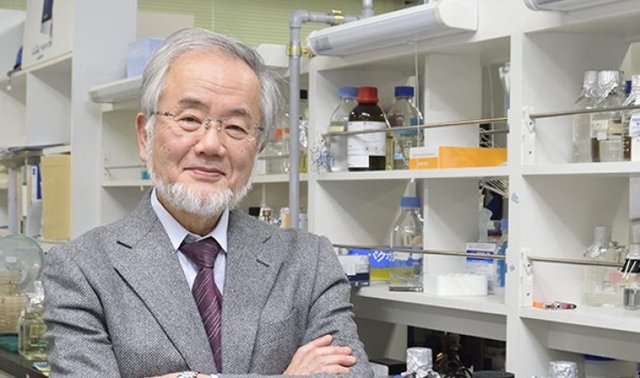 نوبل پزشکی 2016 نصیب ژاپنی‌ها شد!
