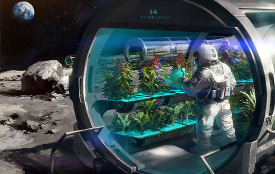 کشاورزی در فضا چگونه خواهد بود؟ (+عکس)