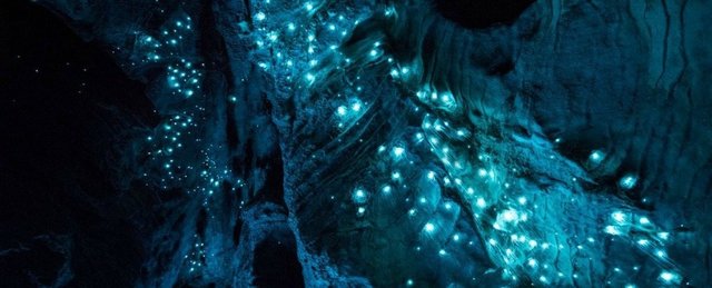 کشف غار 30 میلیون ساله نورانی در نیوزلند