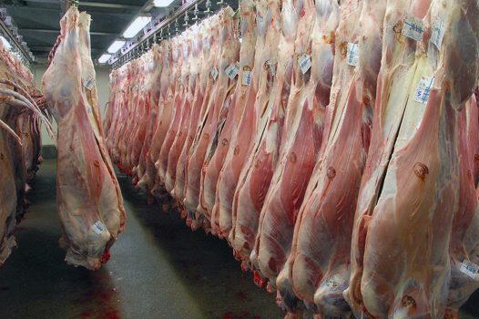 دلیل گرانی گوشت گوسفند تقاضای بالاست/ قاچاق گوسفند به کشورهای عربی معضلی است