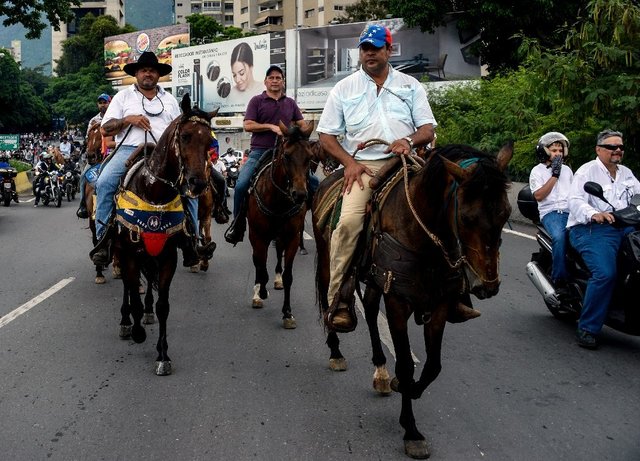 معترضان ونزوئلایی با اسب، ماشین و دوچرخه خیابان‌ها را بستند