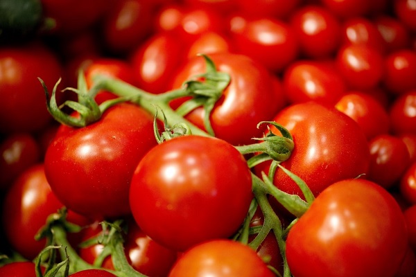 کاهش احتمال ابتلا به سرطان پوست با گوجه فرنگی