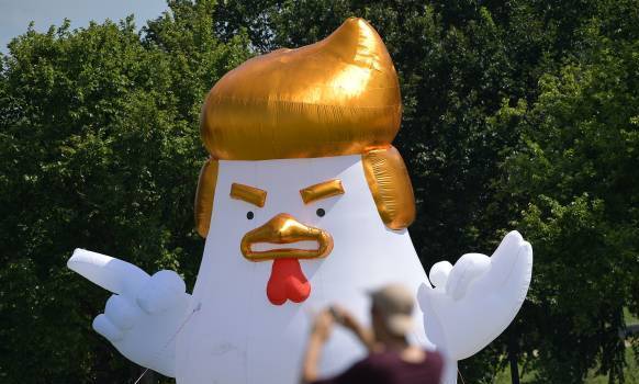 باد کردن بالن خروسی شبیه به ترامپ در مقابل کاخ سفید (عکس)