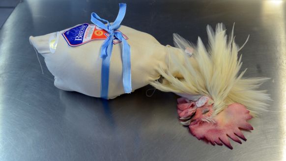 گران ترین مرغ جهان (+عکس)