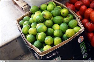 کشف انواع میوه قاچاق در میدان مرکزی میوه و تره بار تهران
