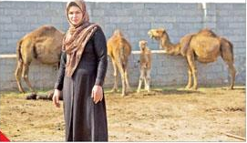پرورش شتر توسط یک زن در تبریز