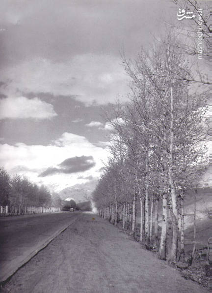 خیابان ولیعصر 63 سال قبل (عکس)