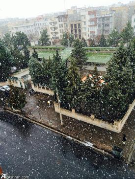 بارش برف در قزوین- محمد رحمانی
