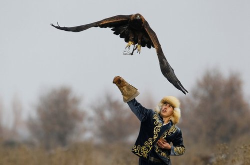 یک شکارچی قزاق در حال رها کردن عقاب – آلماتی