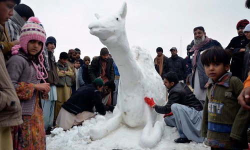 درست کردن یک شتر برفی- کویته پاکستان
