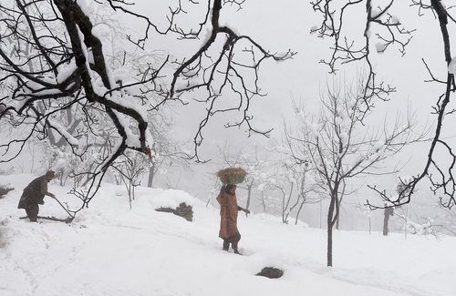 بارش برف در سرینگر کشمیر