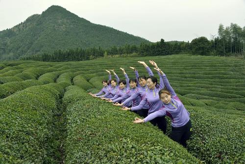 تمرین یوگا در زمین های کشت چای – چین