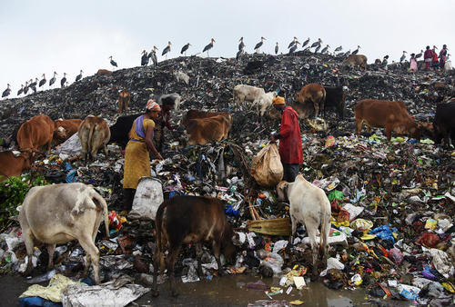 جمع آوری زباله های قابل بازیافت در گواهاتی هند در روز جهانی زمین