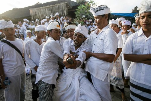 فرو کردن یک خنجر در حالت خلسه به بدن در یک مراسم آیینی در معبدی در دنپاسار اندونزی