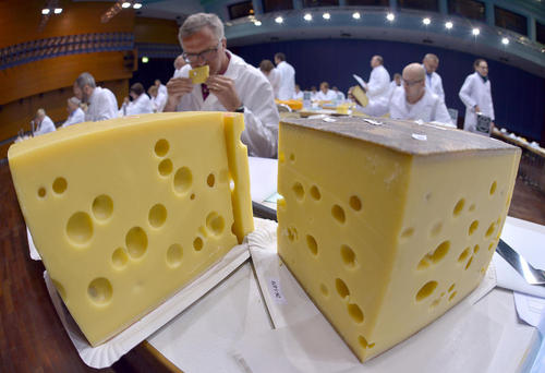 نمایشگاه پنیرهای مختلف تولیدی اروپا – آلمان