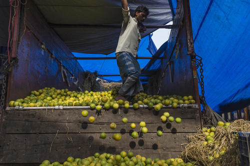 بازار میوه و تره بار شهر کلکته هند