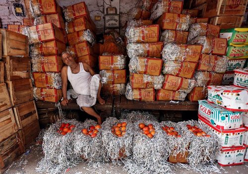 بازار میوه در کلکته هند