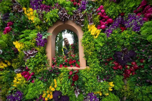 نمایشگاه گل و گیاه – لندن