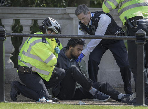 دستگیری یک مظنون تروریستی در مقابل کاخ باکینگهام در لندن