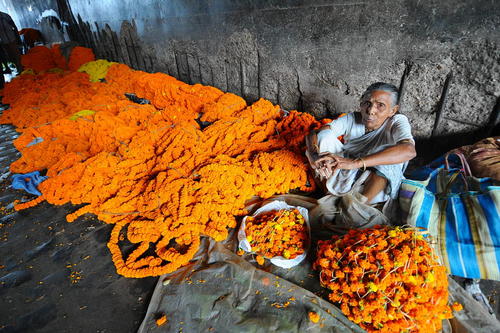 زن گل فروش در کلکته هند